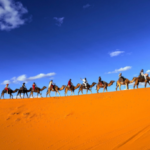 Explore Morocco Trip - Morocco Exploration Trip - Explore Morocco Tours - Morocco Adventure Trip - Explore Morocco Travel Packages - Morocco Discovery Tours - Explore Morocco Vacation - Morocco Sightseeing Trip - Explore Morocco Itinerary - Morocco Cultural Exploration Trip - Explore Morocco Desert Trip - Morocco Travel Experience Tour - Explore Morocco Holiday Packages - Morocco Private Exploration Tours - Explore Morocco Guided Tours - Morocco Multi-Day Exploration Trip - Explore Morocco Sahara Desert Tour - Morocco Authentic Travel Experience - Explore Morocco Cities and Desert Trip - Morocco Adventure and Culture Tour - Explore Morocco Custom Tours - Morocco Travel Discovery Packages - Explore Morocco Group Tours - Morocco Off the Beaten Path Trip - Explore Morocco Luxury Tours - Morocco Scenic Exploration Tour - Explore Morocco Family Trip - Morocco Historical Exploration Tours